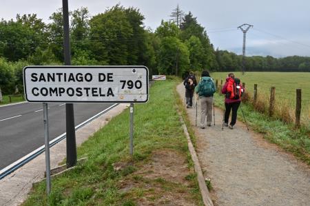 Camino 3